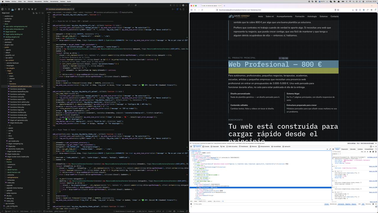 David trabajando en código y en la web del sistema Ikigai